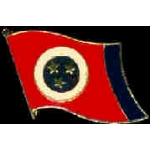 TENNESSEE PIN STATE FLAG PIN